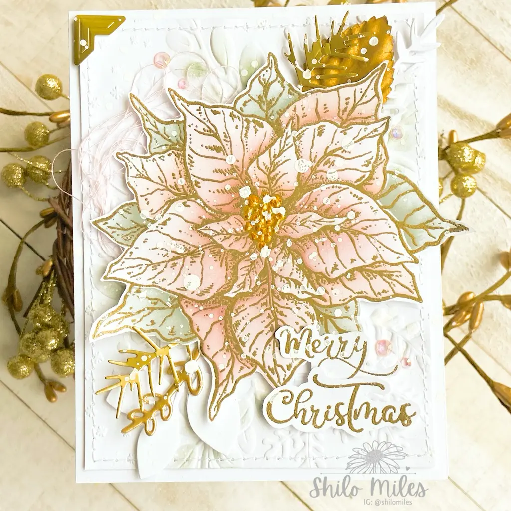 Merry Christmas Poinsettias