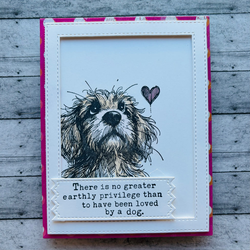 Pet Sympathy