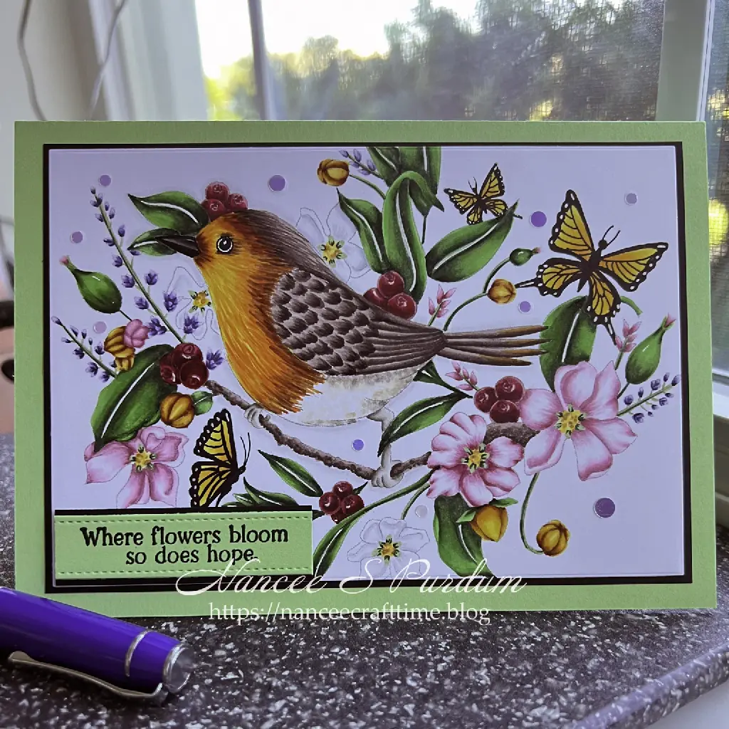2025 - Kristina Werner's Mail Call - February