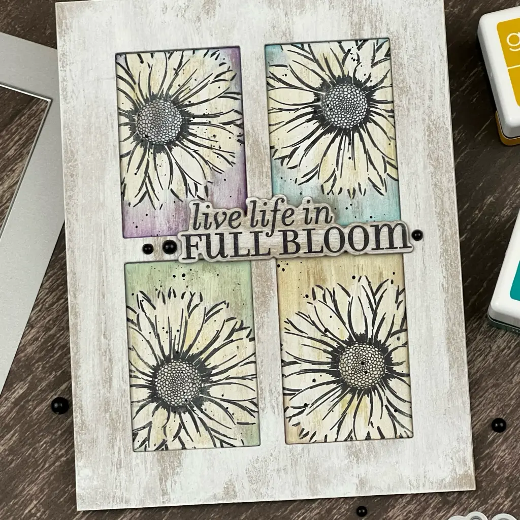 Life In Full Bloom