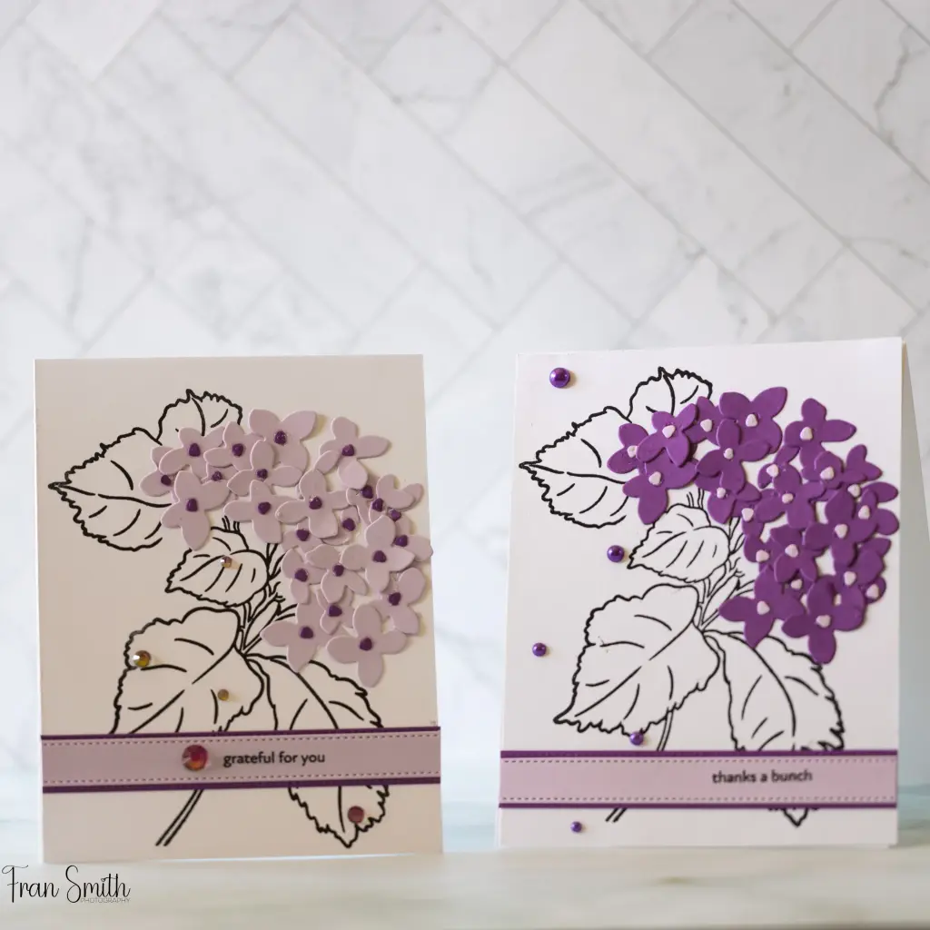 Blooming Hydrangea