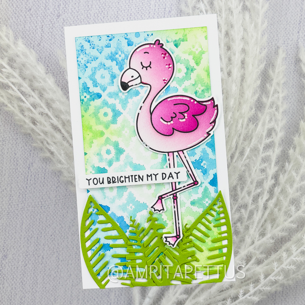 flamingo TE