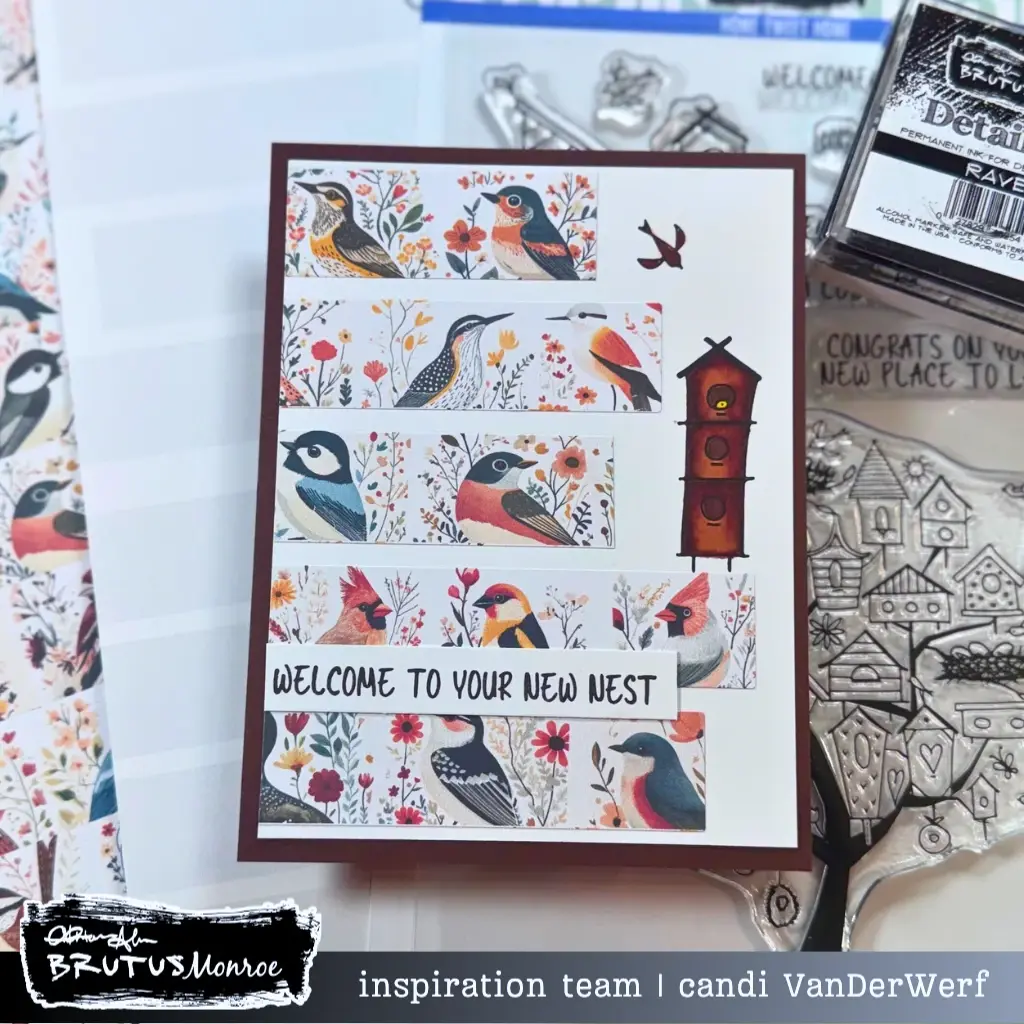 new nest washi birds