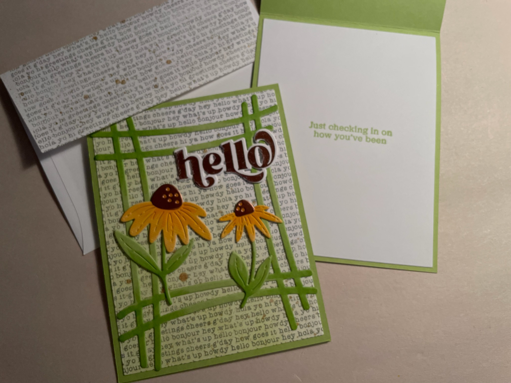 coneflowers