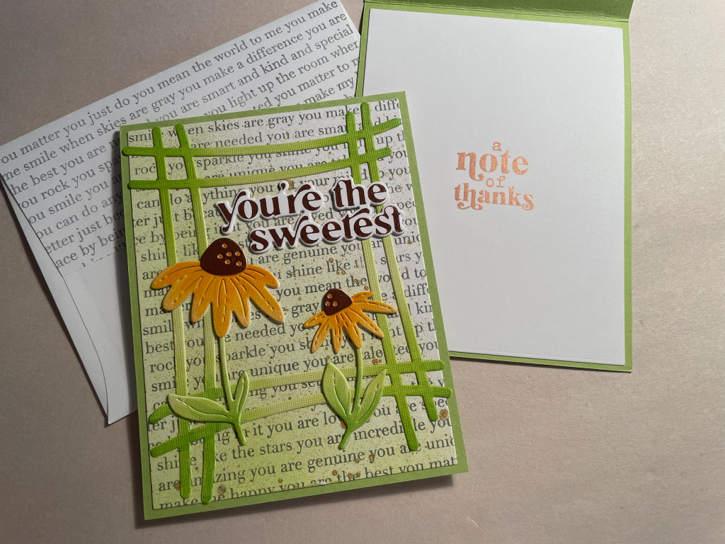 coneflowers