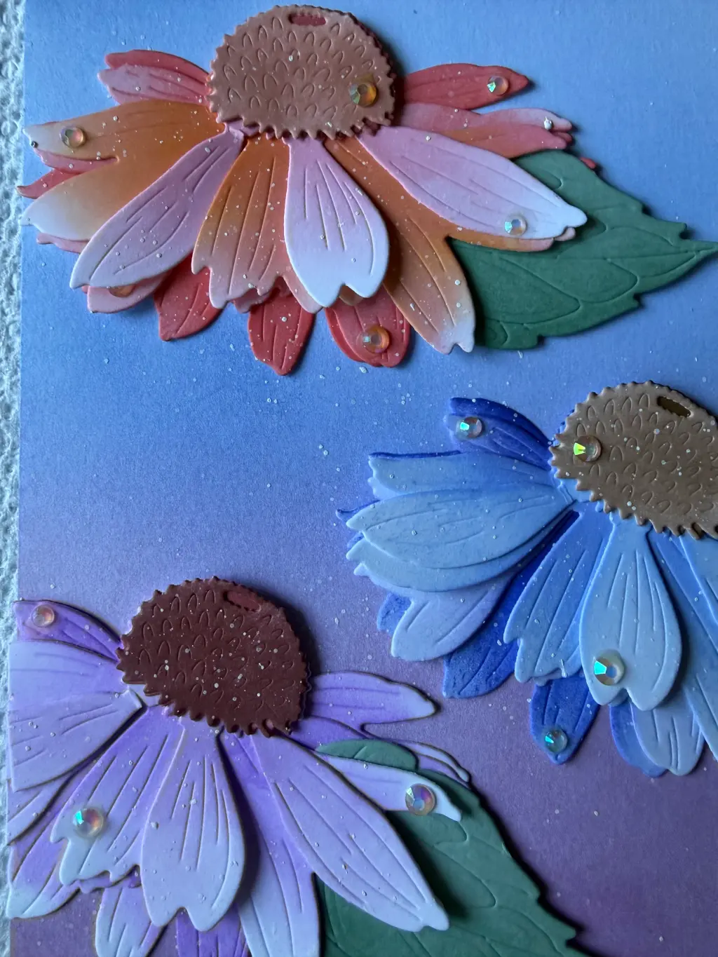 Coneflowers
