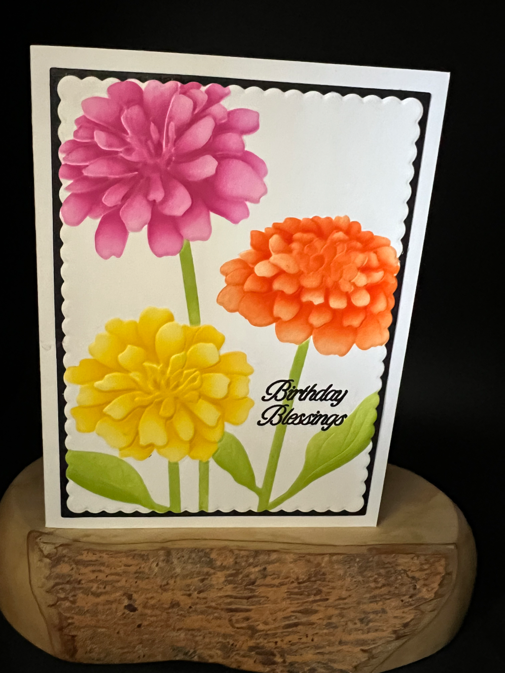 Zinnias