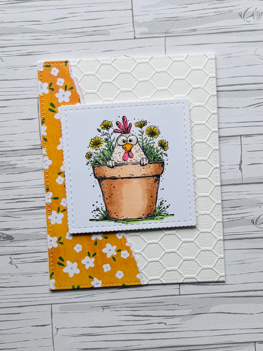 Spring Chicken