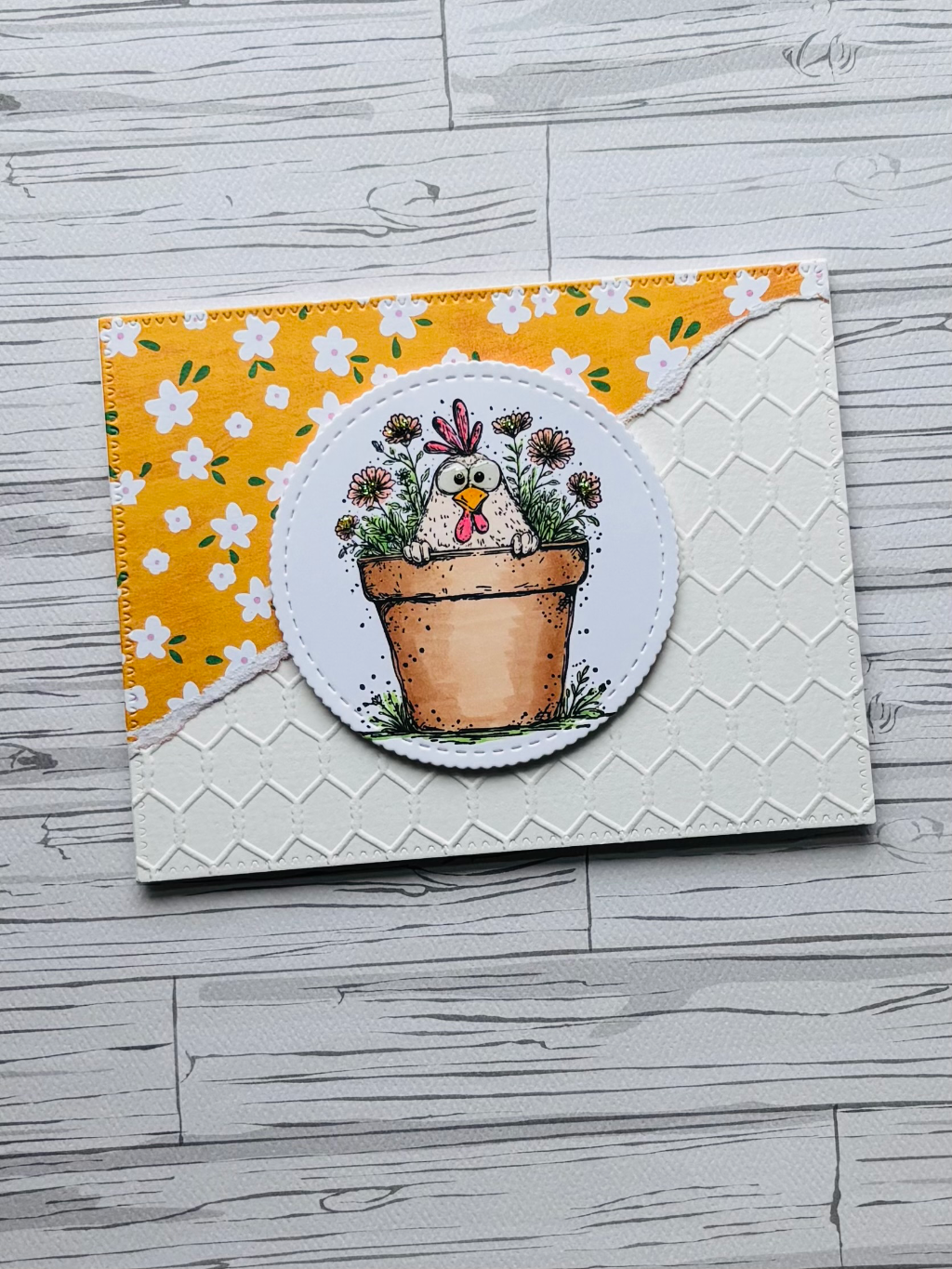 Spring Chicken
