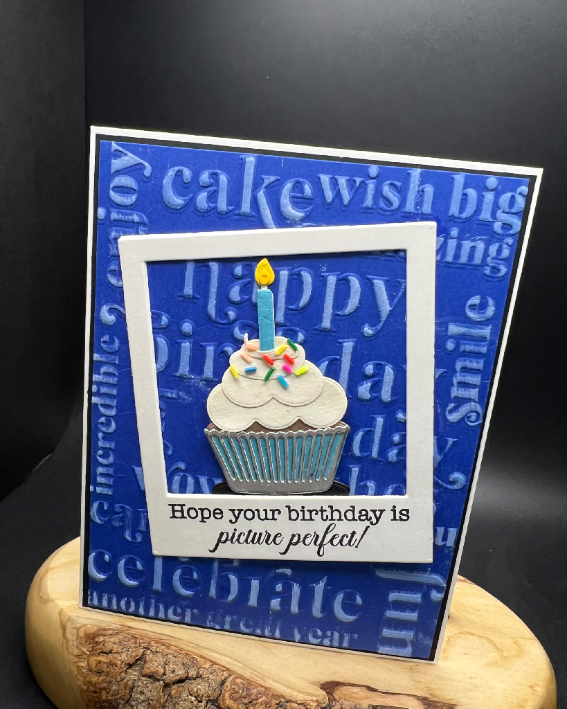 picture perfect birthday