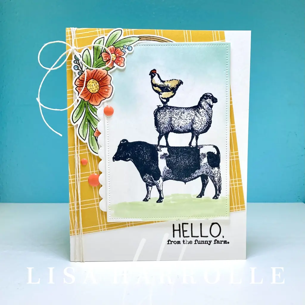 Hello From the Funny Farm
