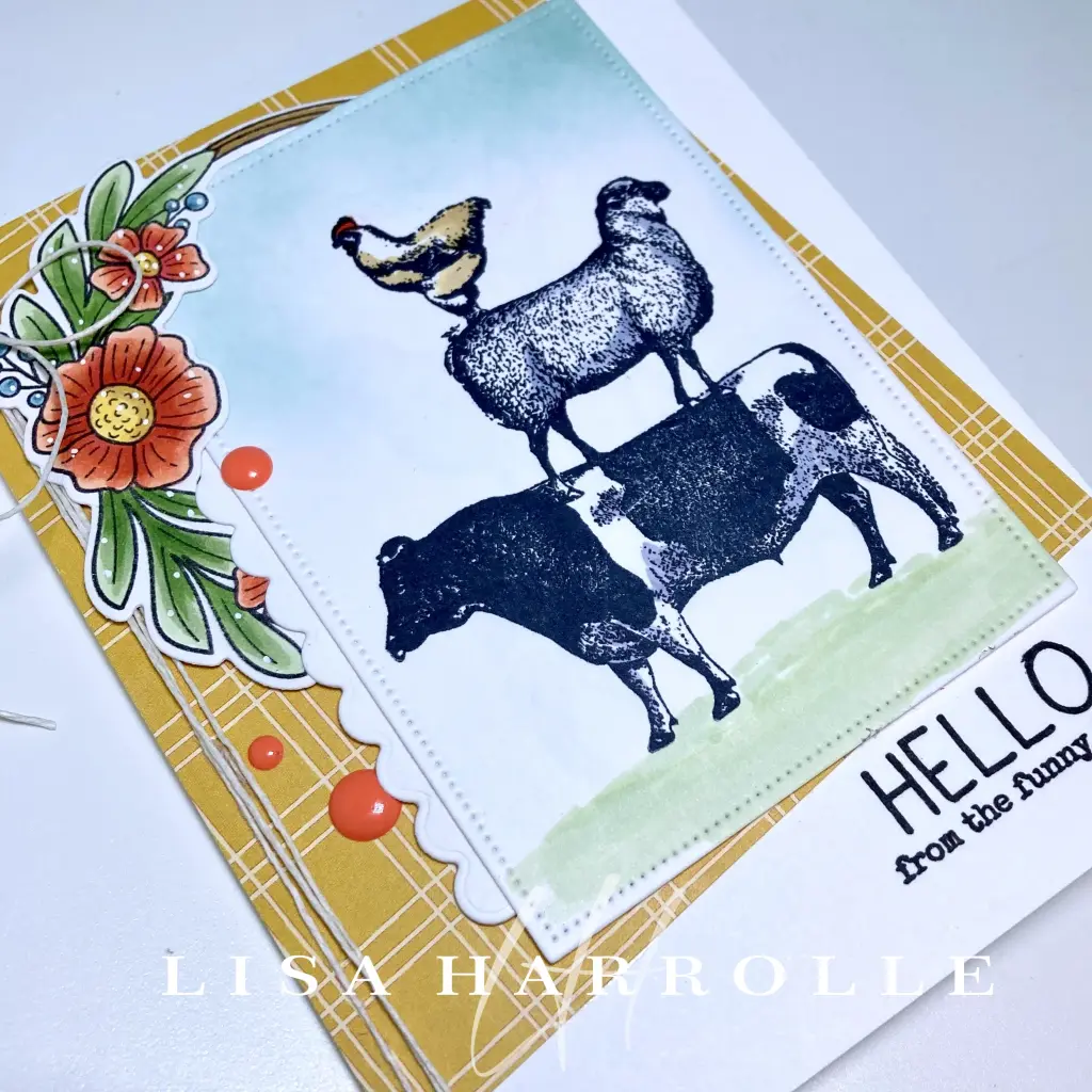 Hello From the Funny Farm