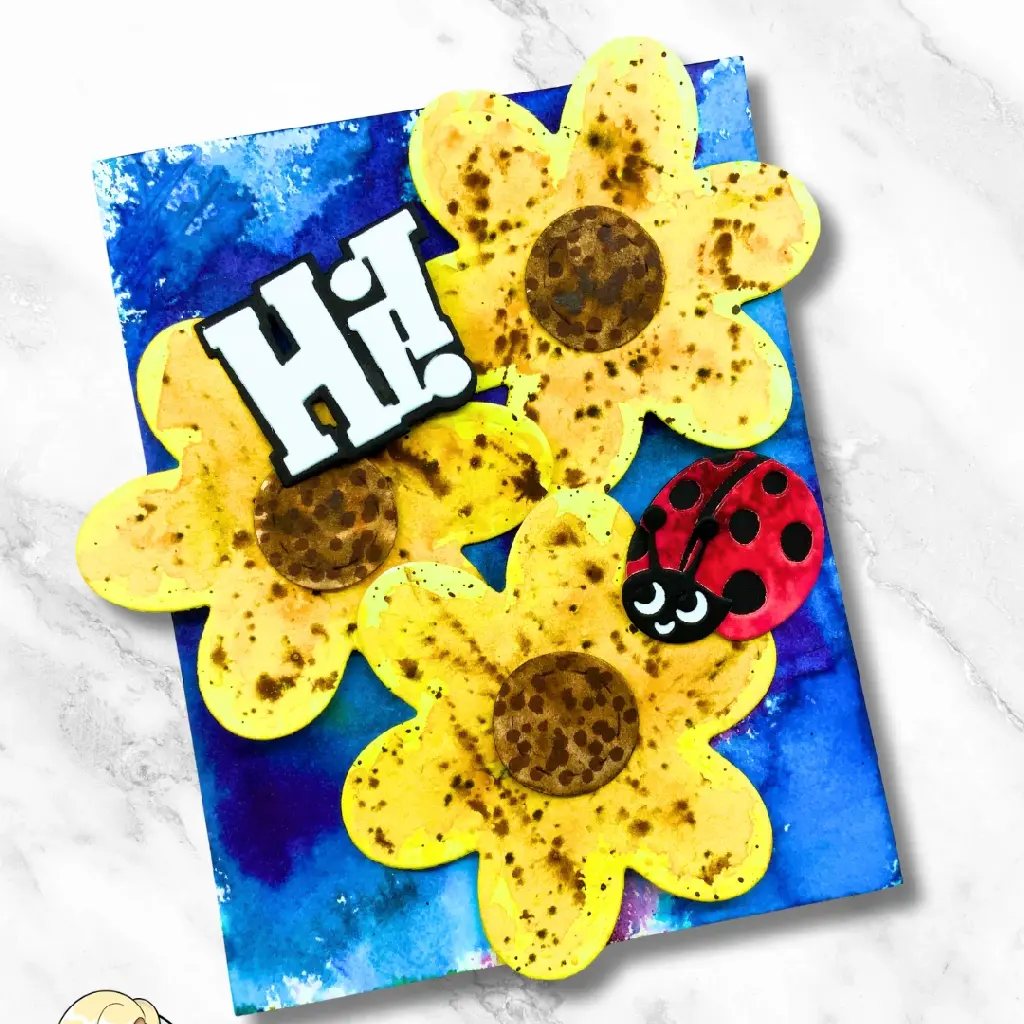 Ladybug Hi!