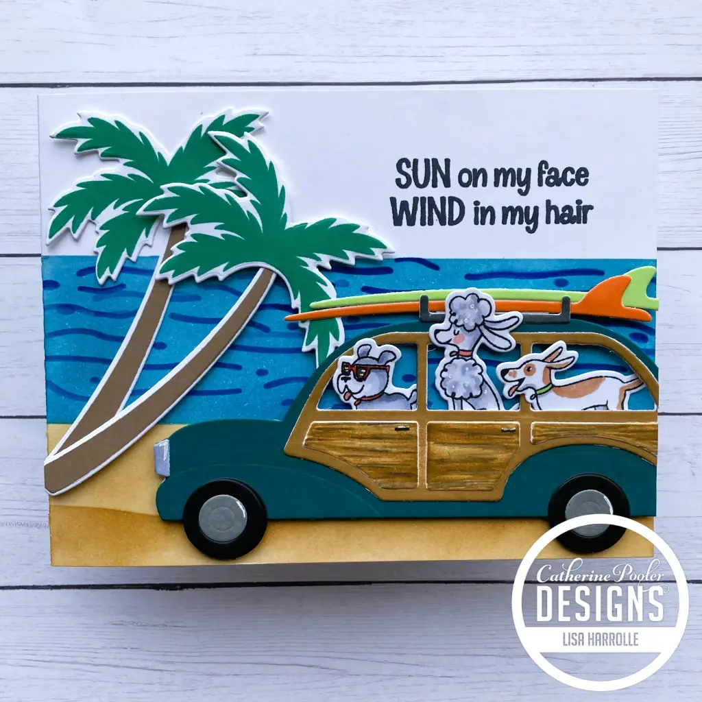 Sun on my Face, Wind in my Hair