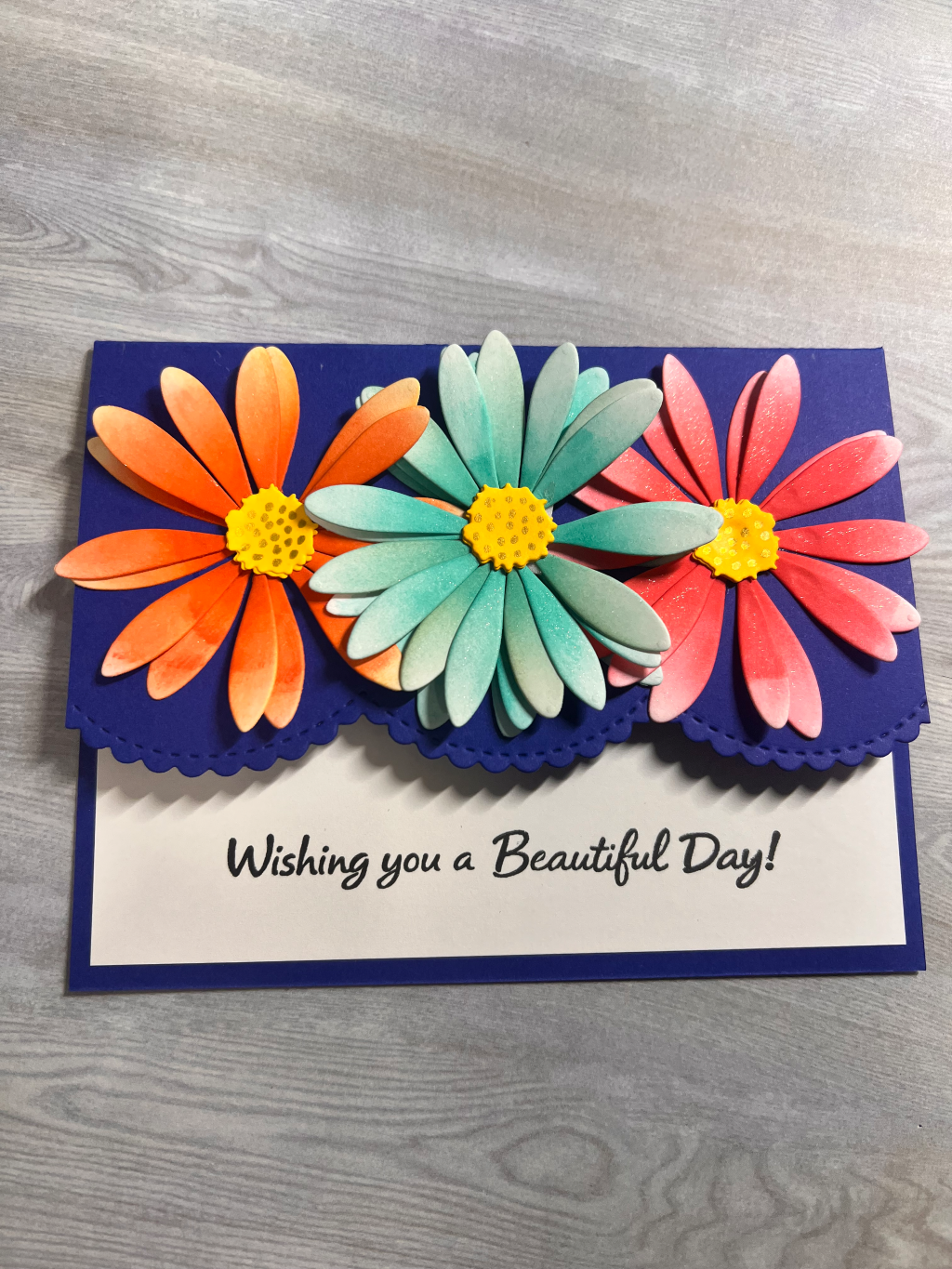 African Daisy