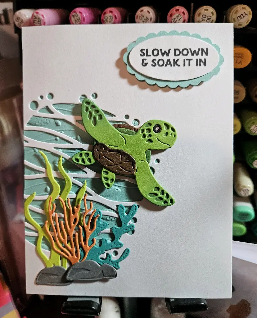 Slow Down Turtle