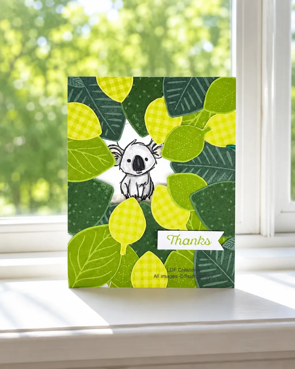 Koala Thank You