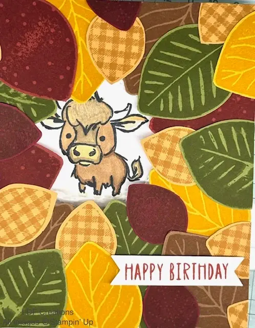 Wild Bunch Fall Birthday