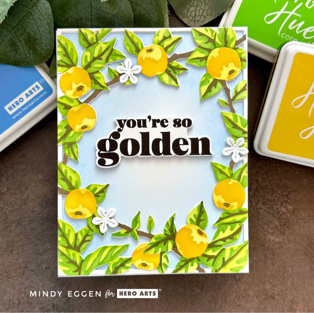 Apple Frame Bundle