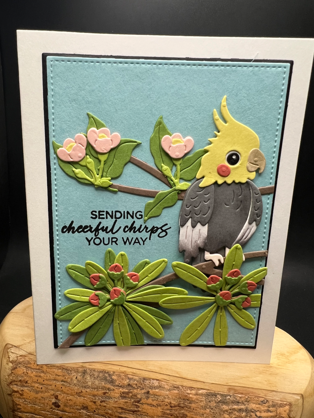Cockatiel birthday
