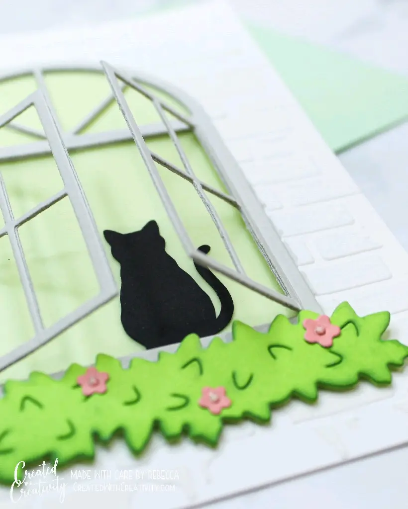 Cat Window