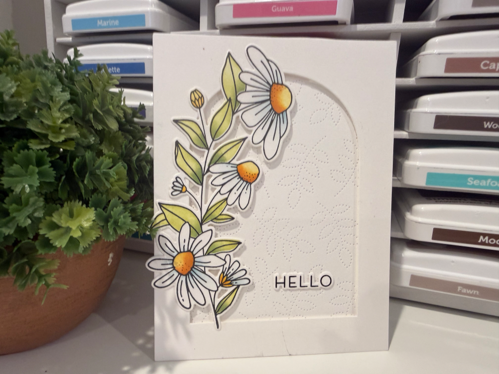Daisy Dream