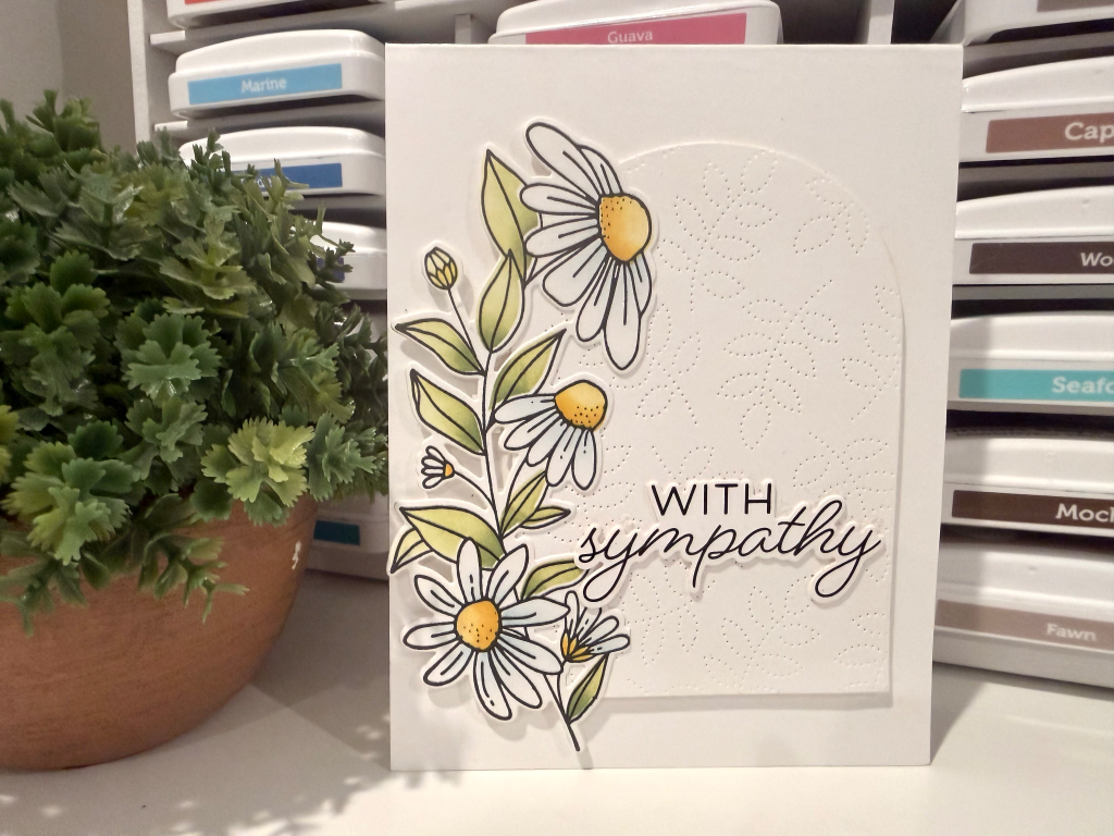 Daisy Dream