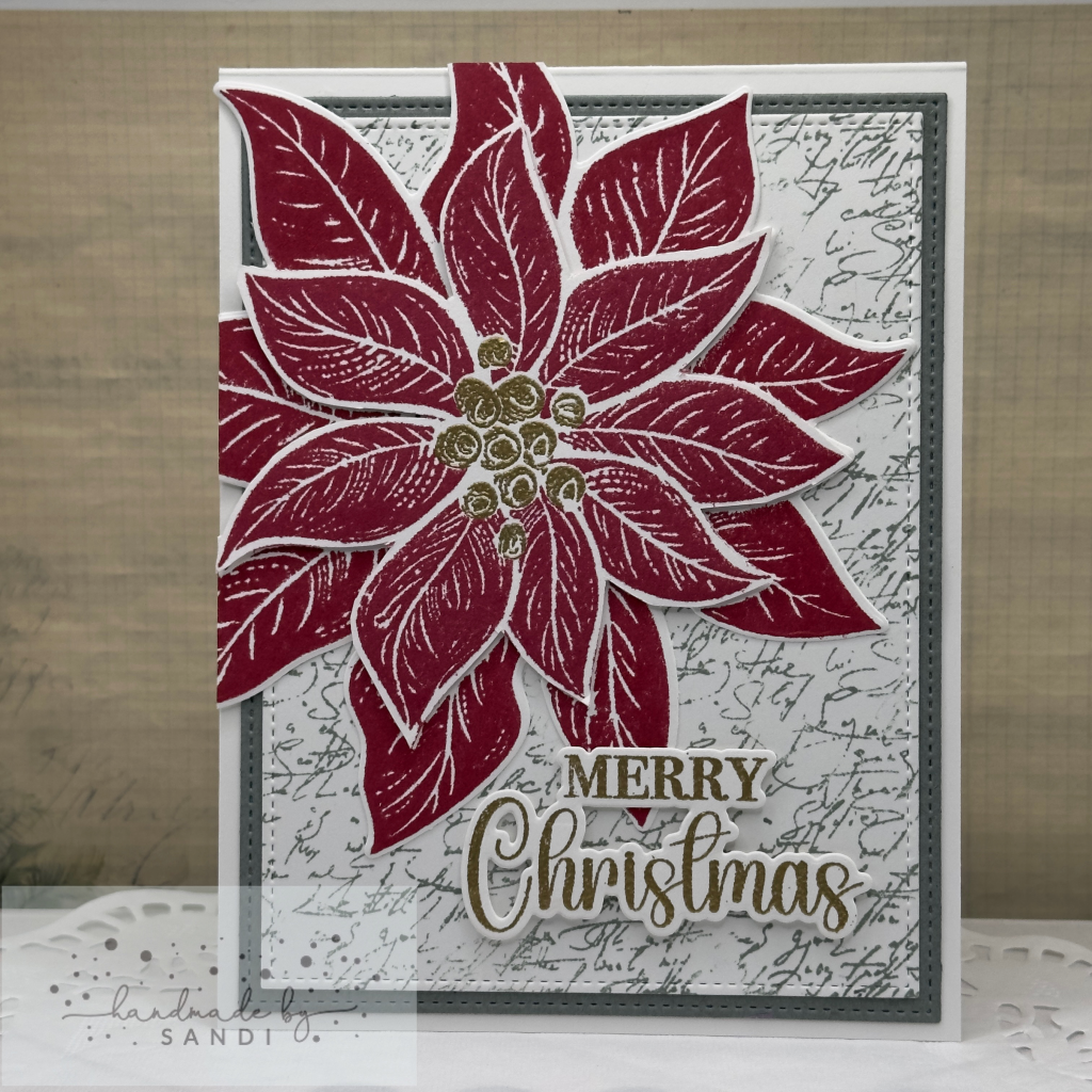 Festive Poinsettia