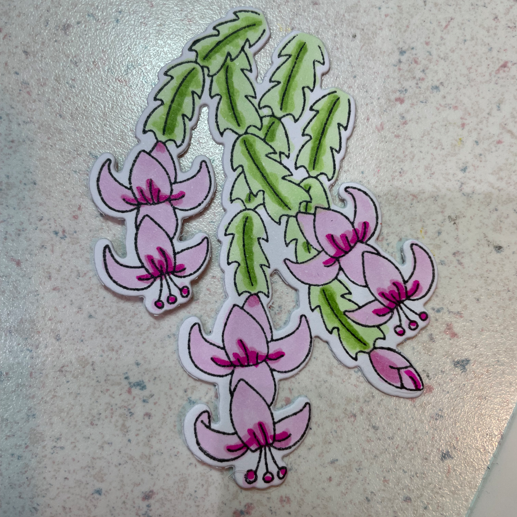 Newton's Nook-Christmas Cactus