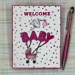 2025 - Baby Shower RSC — photo 1 of 2
