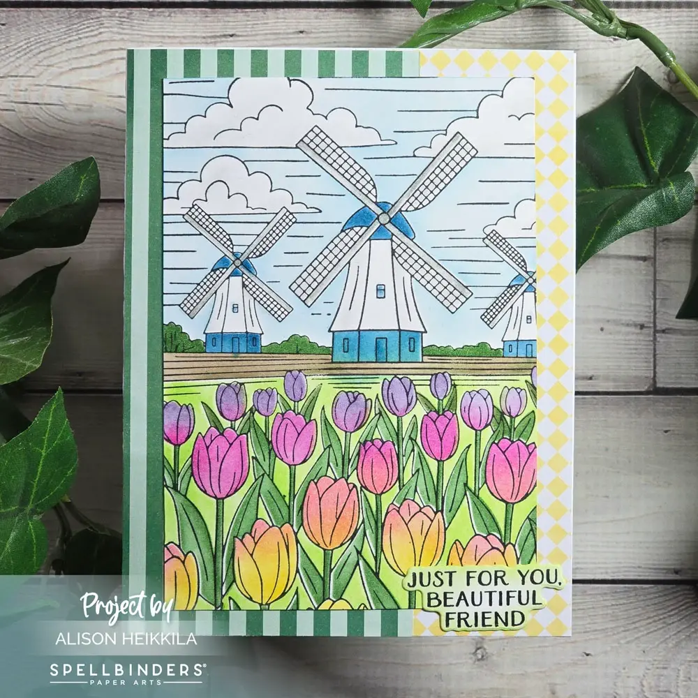 Yana's Tulips Version 2 — photo 1 of 3