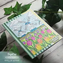Yana's Tulips Version 2 — photo 2 of 3