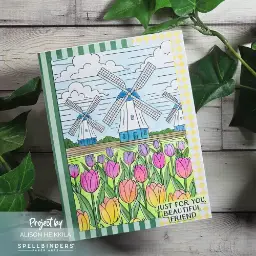 Yana's Tulips Version 2 — photo 3 of 3
