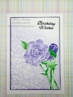 2026 - Birthday (APB) — photo 1 of 4