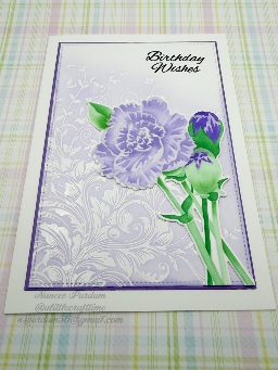2026 - Birthday (APB) — photo 2 of 4