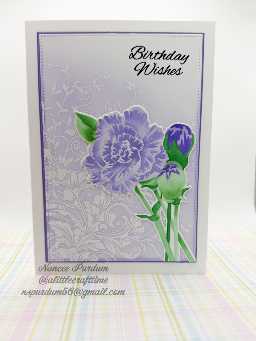 2026 - Birthday (APB) — photo 3 of 4