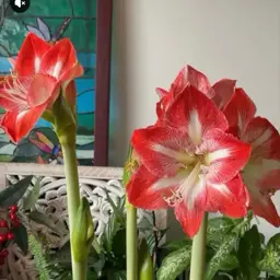 A Friend Loves At All Times — photo 2 of 4