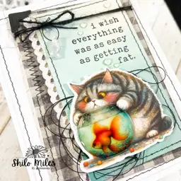 Sassy Fat Cats — photo 5 of 6