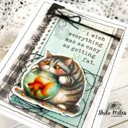 Sassy Fat Cats — photo 6 of 6