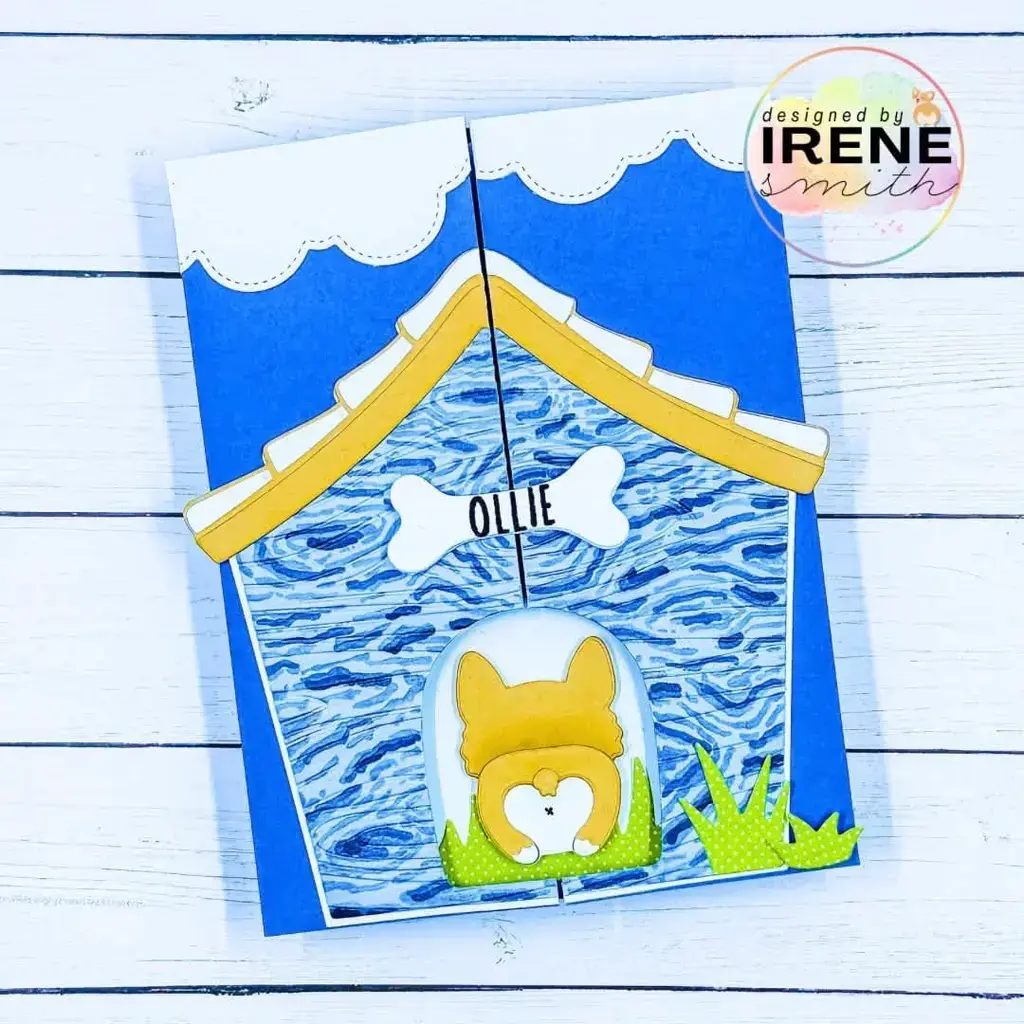 CR Ep 335 - Ollie! — photo 1 of 3