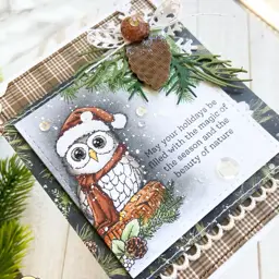May Your Holidays…. — photo 2 of 2