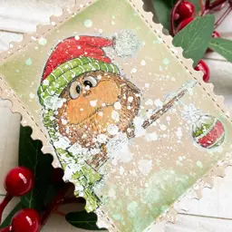 Christmas Birds in A Blizzard — photo 3 of 5