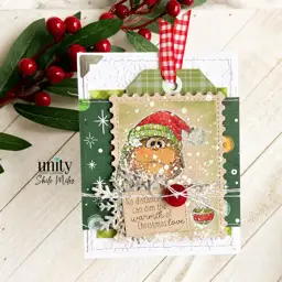 Christmas Birds in A Blizzard — photo 4 of 5