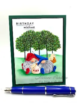 2026 - Birthday CI — photo 1 of 4