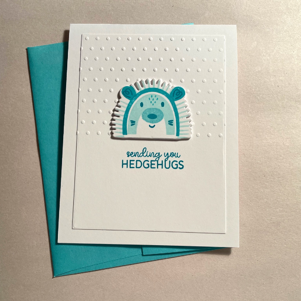 hedgehugs — photo 1 of 1