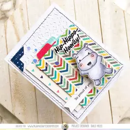 Hip Hippo Hooray - So Proud of You — photo 2 of 4