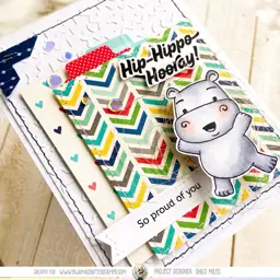 Hip Hippo Hooray - So Proud of You — photo 3 of 4