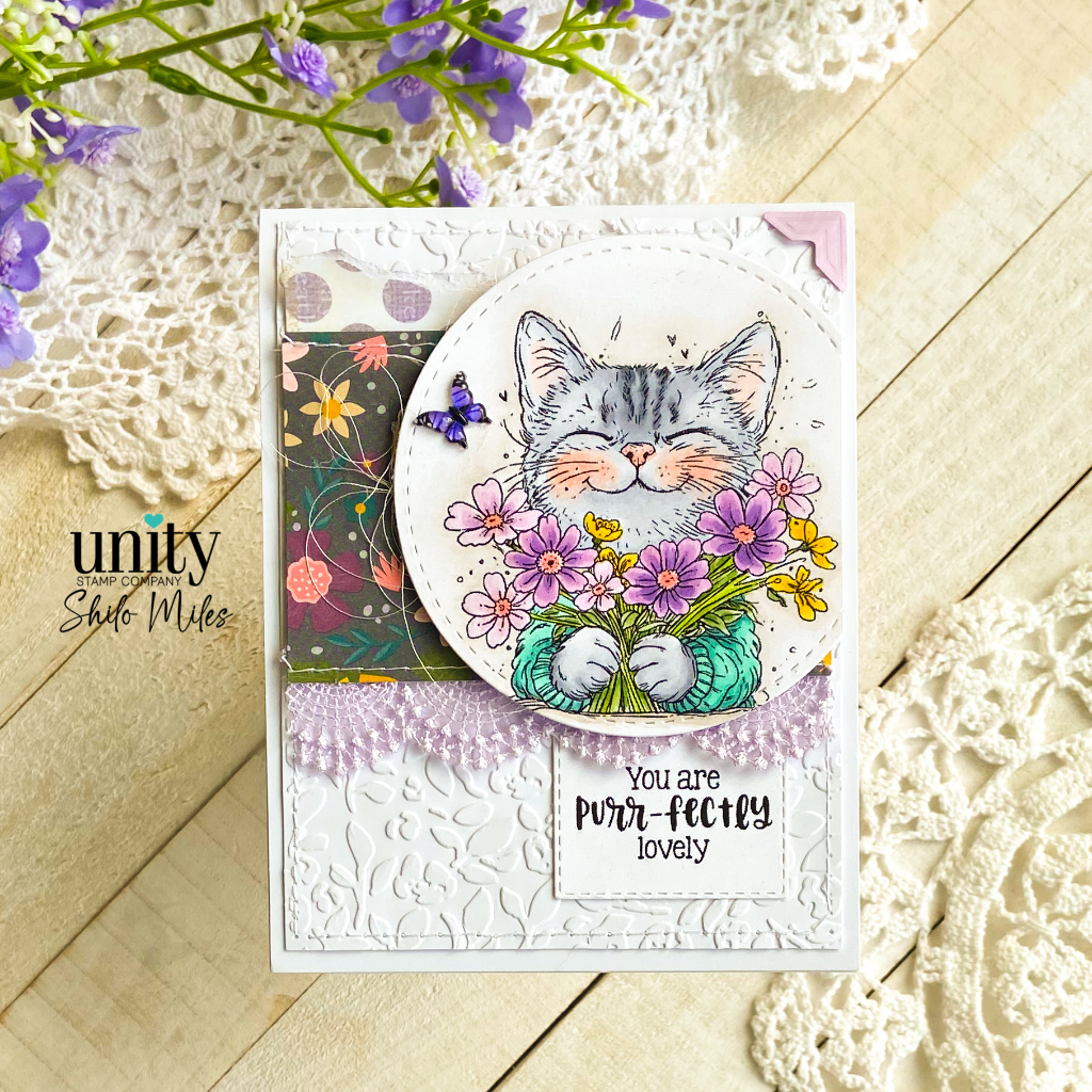 You Are Purr-Fectly Lovely — photo 1 of 2