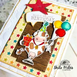 Herd it was your Birthday — photo 4 of 4
