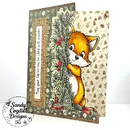 Peek A Boo Christmas Card — photo 1 of 2
